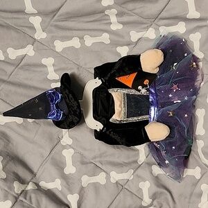 Witch Dress and Hat Pet Costume